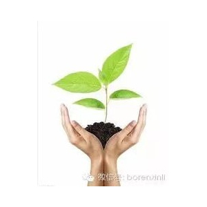 元科中小學輔導