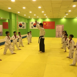 奇藝跆拳道