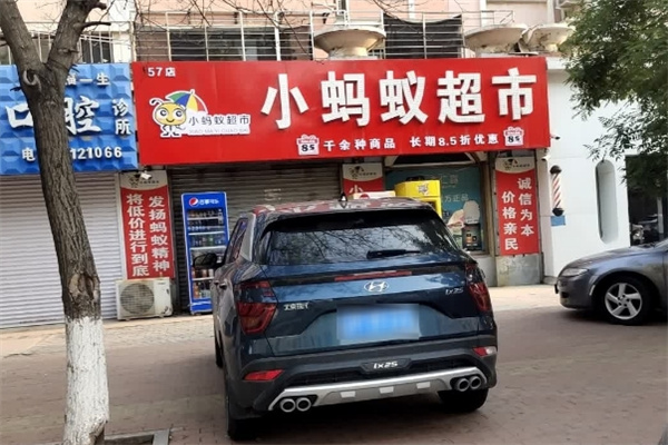 葫蘆島小螞蟻超市