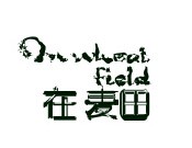 在麥田