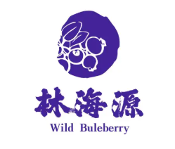 林海源藍莓果汁