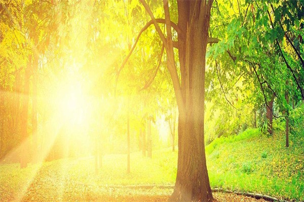 蒙田森學前教育 蒙田森學前教育