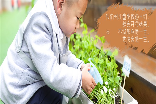 蒙田森學前教育 蒙田森學前教育