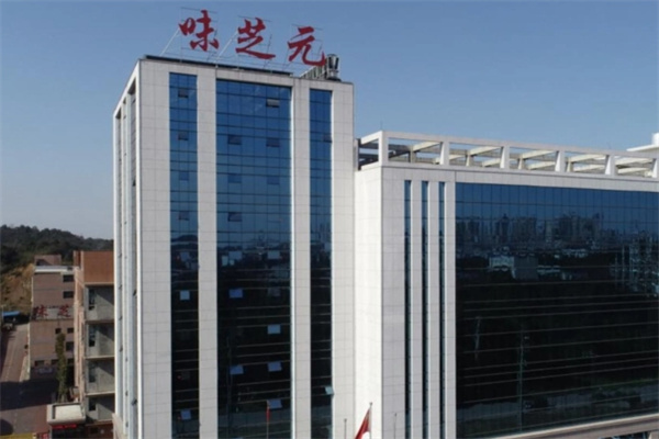 味芝元零食 味芝元零食