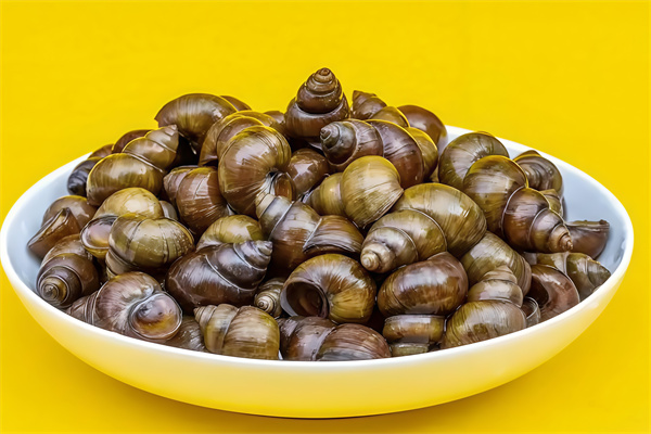 信豐田螺西施 信豐田螺西施