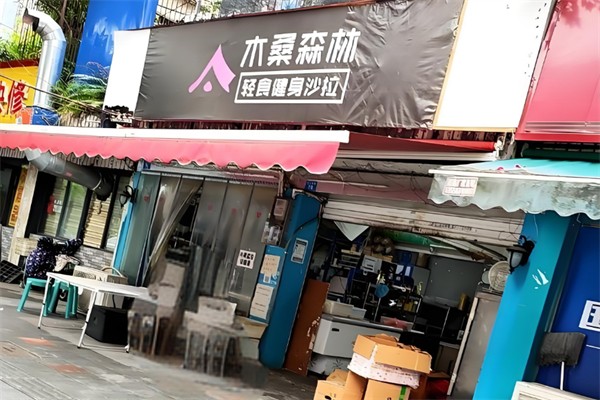 木桑森林輕食沙拉