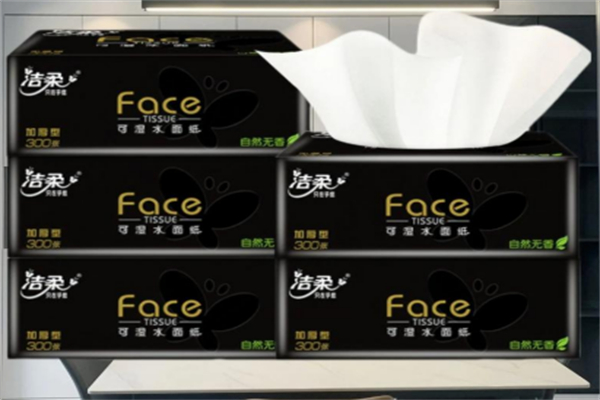 潔柔衛(wèi)生紙 潔柔衛(wèi)生紙