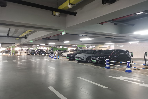 小強(qiáng)停車 小強(qiáng)停車