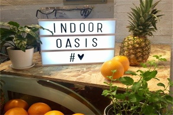 indoor oasis綠洲間