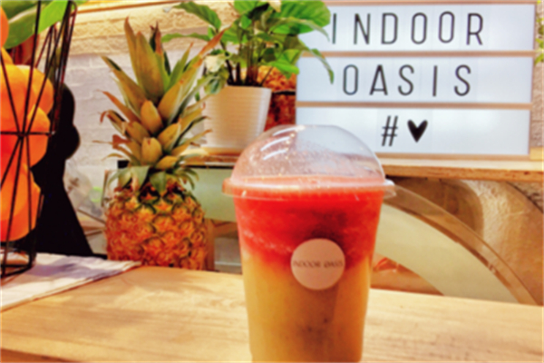 indoor oasis綠洲間