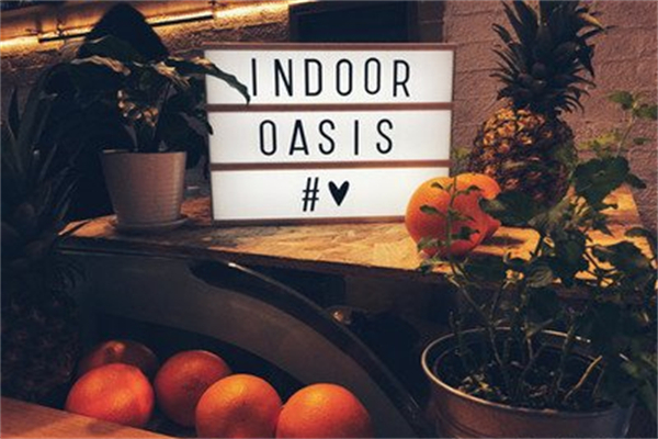 indoor oasis綠洲間