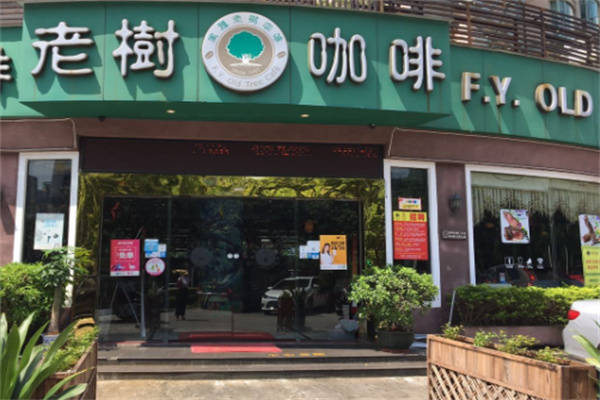 老樹咖啡店