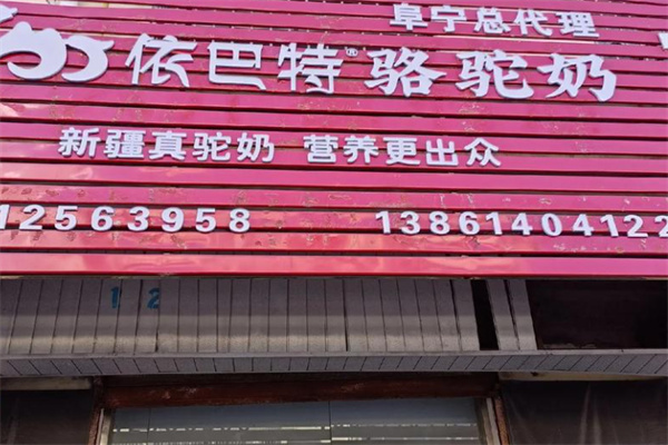 依巴特新疆駱駝奶