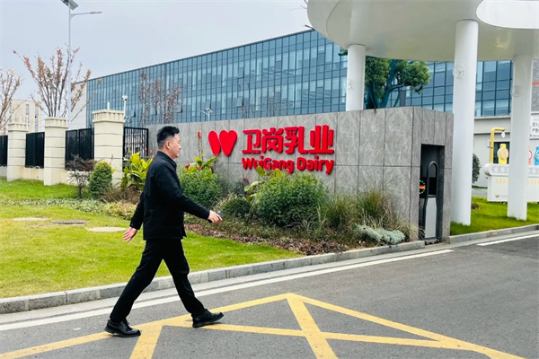 衛(wèi)崗鮮牛奶 衛(wèi)崗鮮牛奶