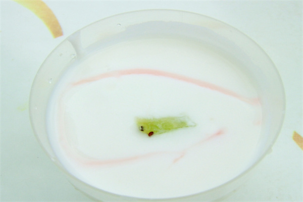 每汁每味現(xiàn)釀酸奶