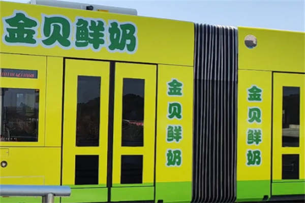 金貝酸奶 金貝酸奶