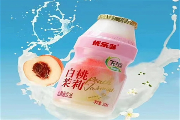 優樂多乳酸菌 優樂多乳酸菌