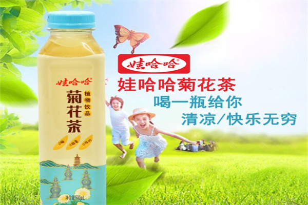 娃哈哈菊花茶 娃哈哈菊花茶