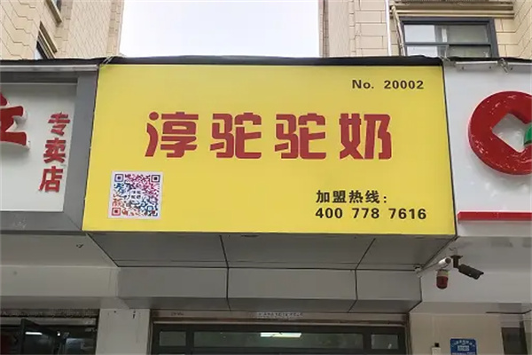 淳駝駝奶 淳駝駝奶