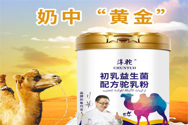 淳駝駝奶 淳駝駝奶